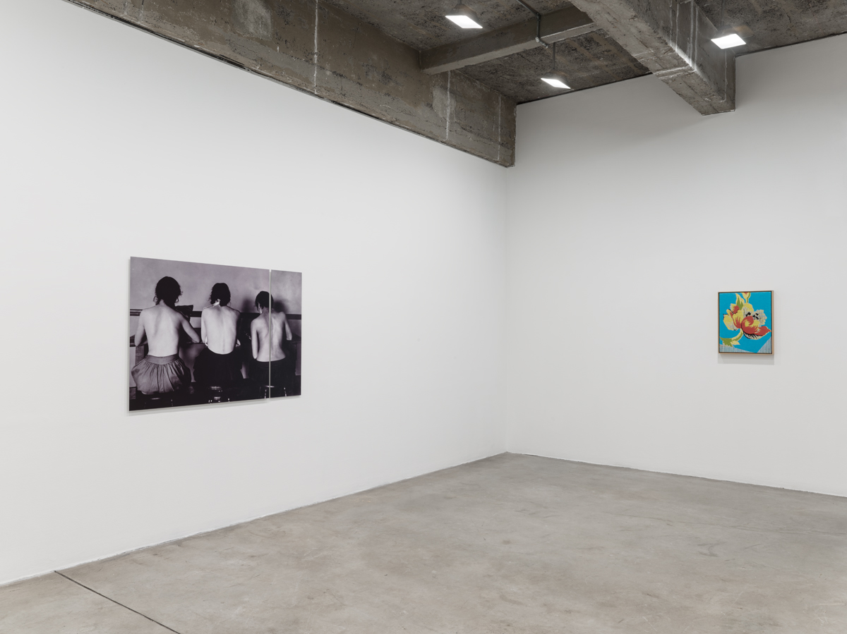7 September - 21 October 2017 - - Lisa Oppenheim: A Durable Web - - Exhibitions
