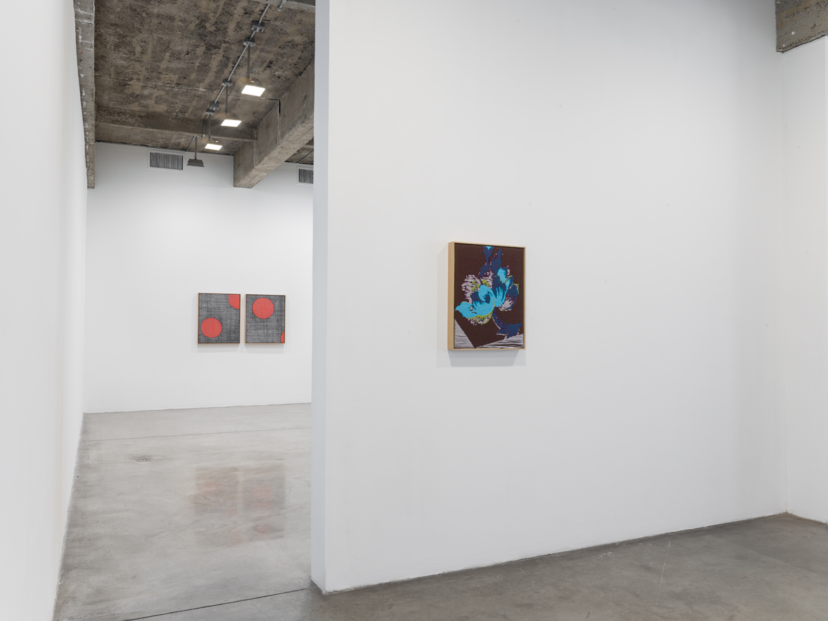 7 September - 21 October 2017 - - Lisa Oppenheim: A Durable Web - - Exhibitions